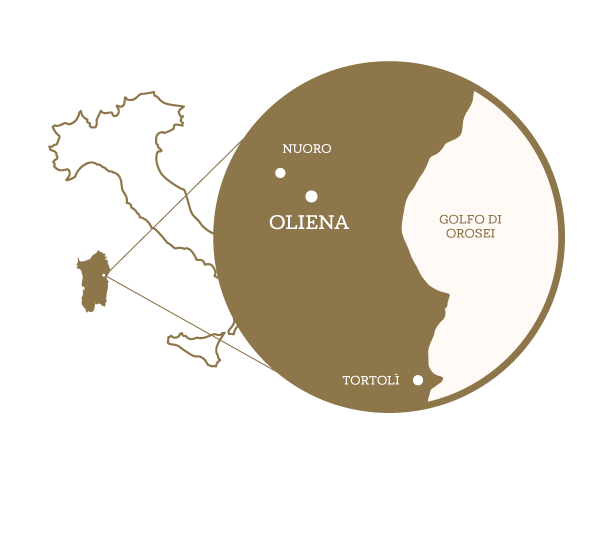 Map of Oliena - Sardinia - Italy